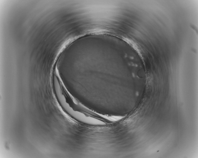 X0000094941429200712201105