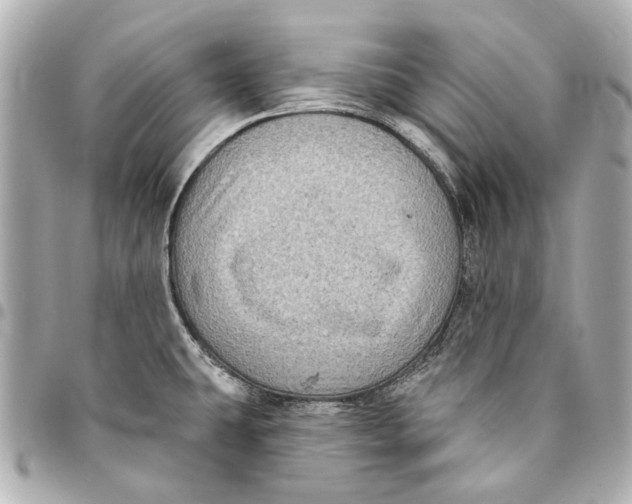 X0000094941431200712201105