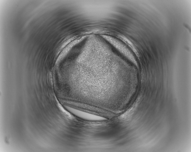 X0000094941433200712201105