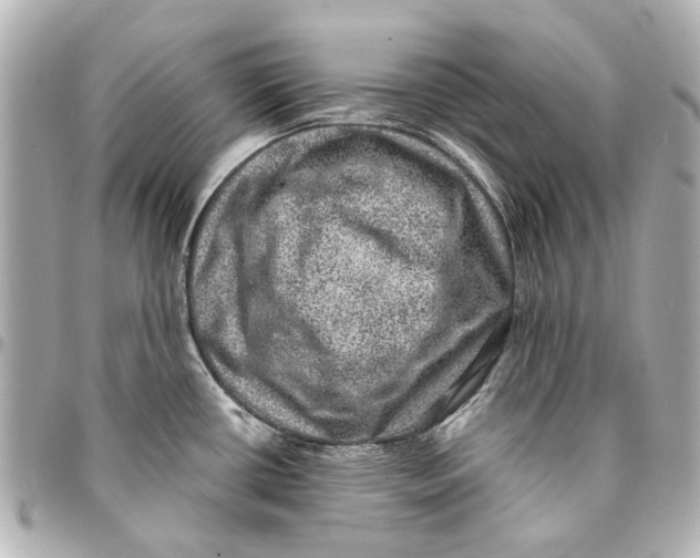 X0000094941434200712201105