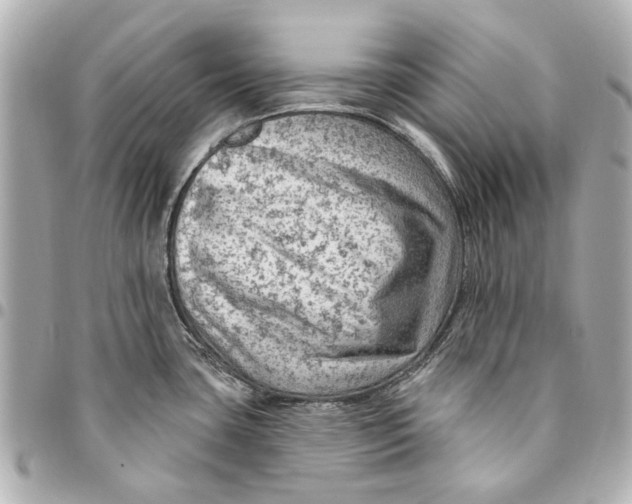 X0000094941435200712201105