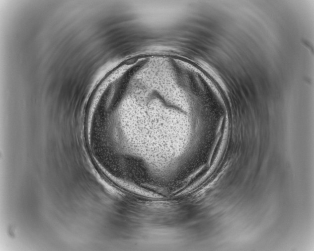 X0000094941437200712201105