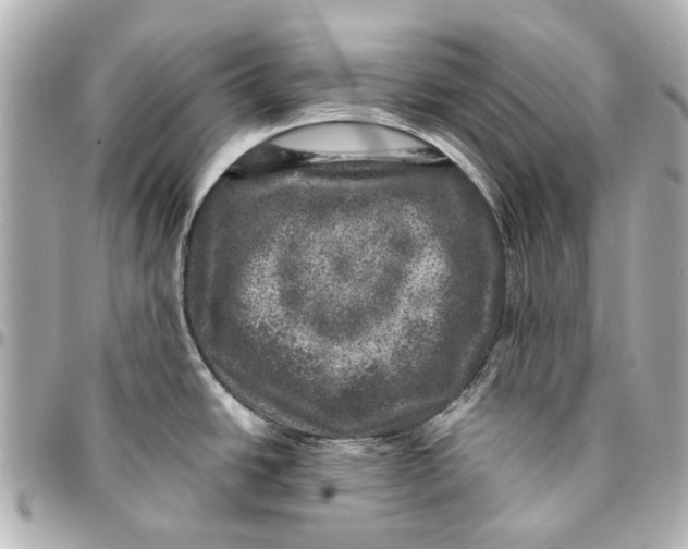 X0000094941438200712201105