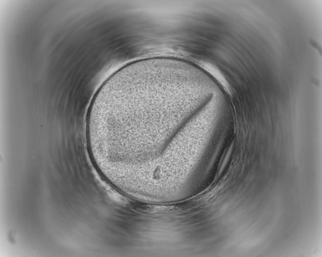 X0000094941439200712201105