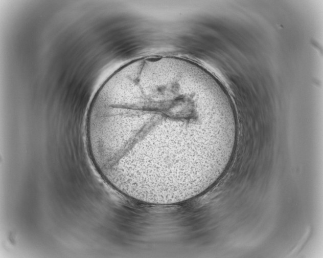 X0000094941440200712201105