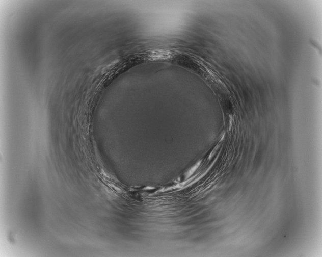 X0000094941441200712201104