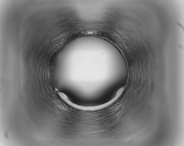 X0000094941442200712201104