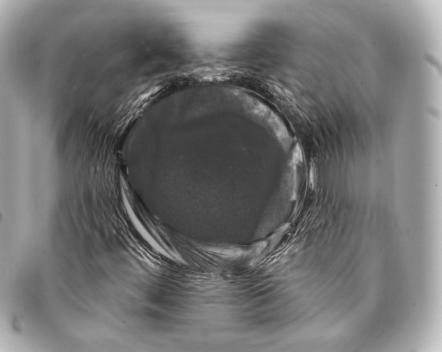 X0000094941444200712201104