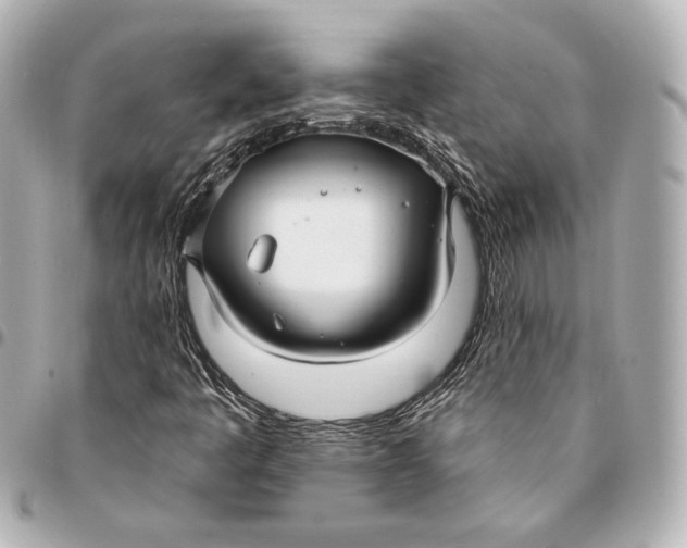 X0000094941445200712201104