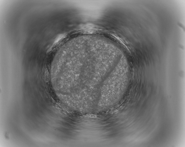 X0000094941446200712201104