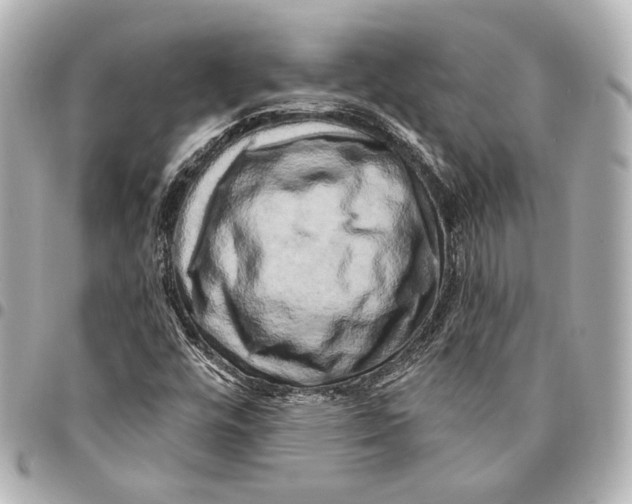 X0000094941448200712201104