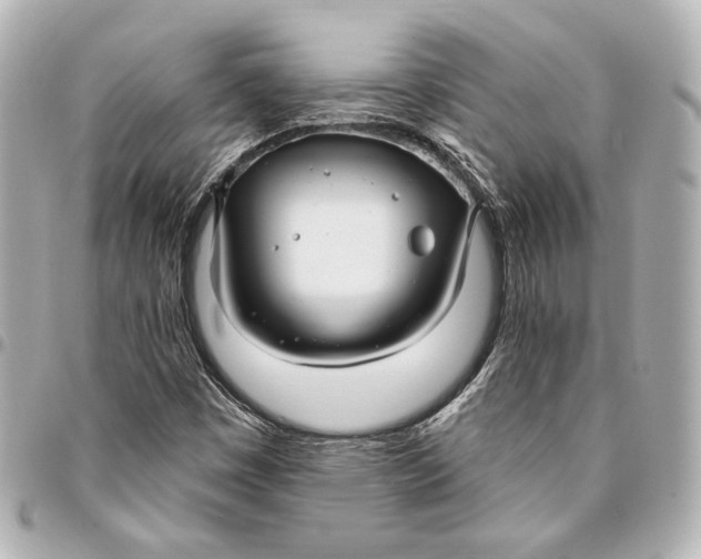 X0000094941449200712201104