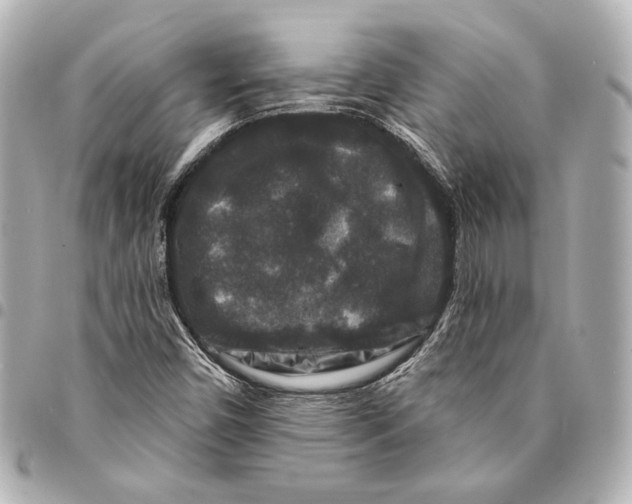 X0000094941450200712201104