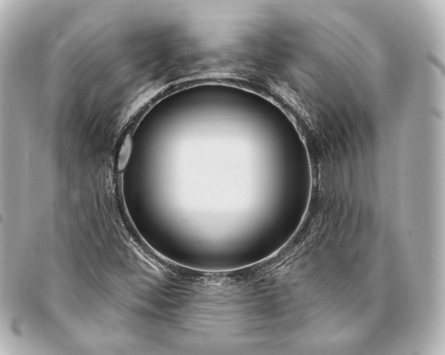 X0000094941452200712201104