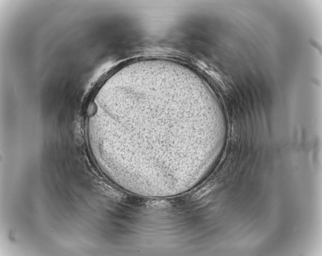 X0000094941454200712201104