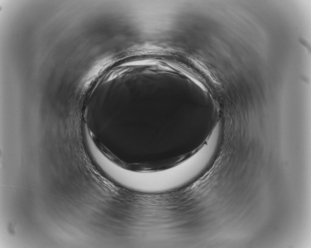 X0000094941455200712201104