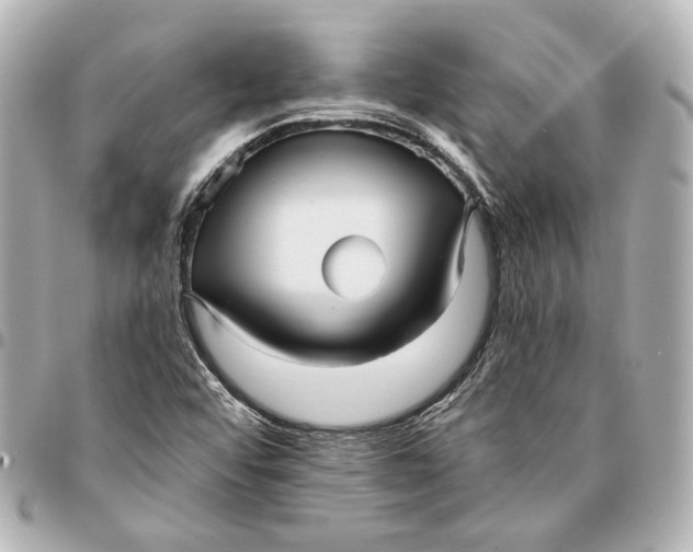 X0000094941456200712201104