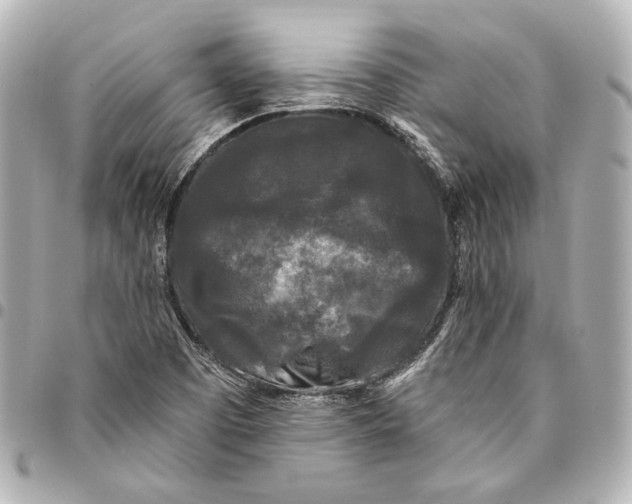 X0000094941457200712201104