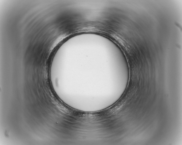 X0000094941458200712201104