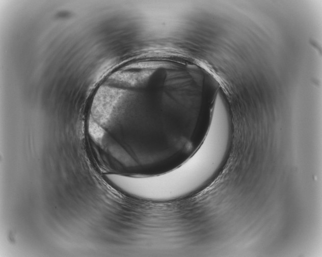 X0000094941459200712201104