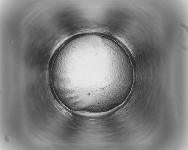 X0000094941460200712201104