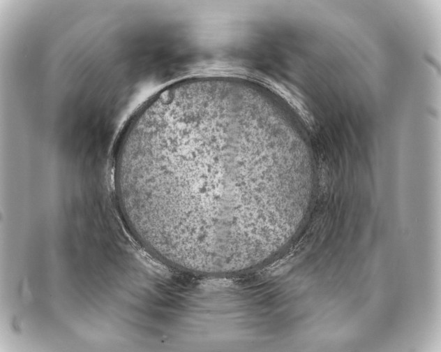 X0000094941462200712201104