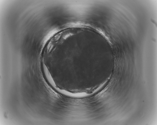 X0000094941463200712201104