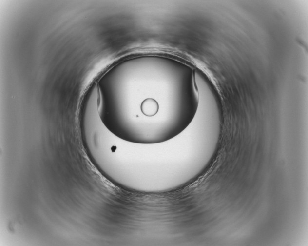 X0000094941464200712201104