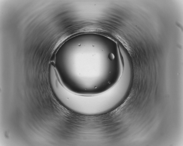 X0000094941465200712201104