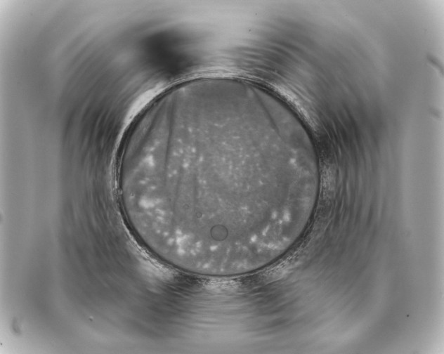 X0000094941466200712201104