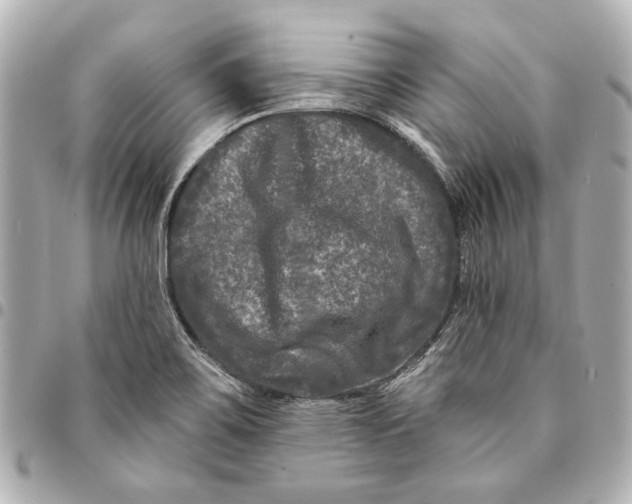 X0000094941467200712201104