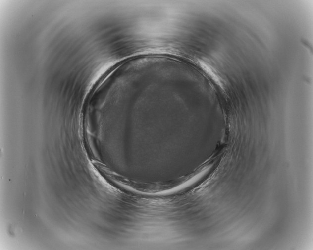 X0000094941468200712201104