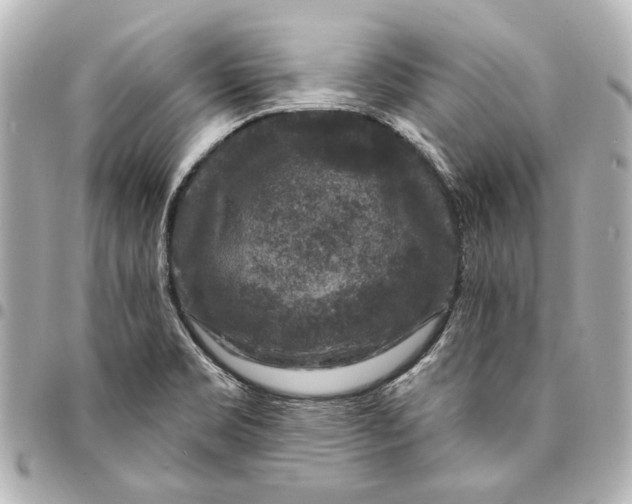 X0000094941469200712201104