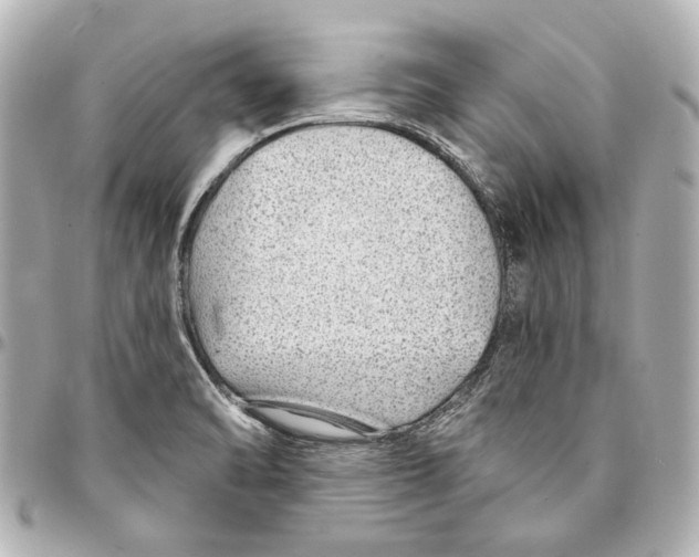 X0000094941470200712201104