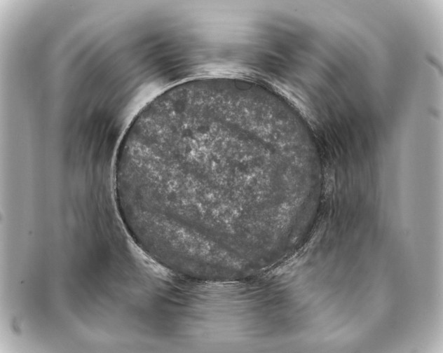 X0000094941471200712201104