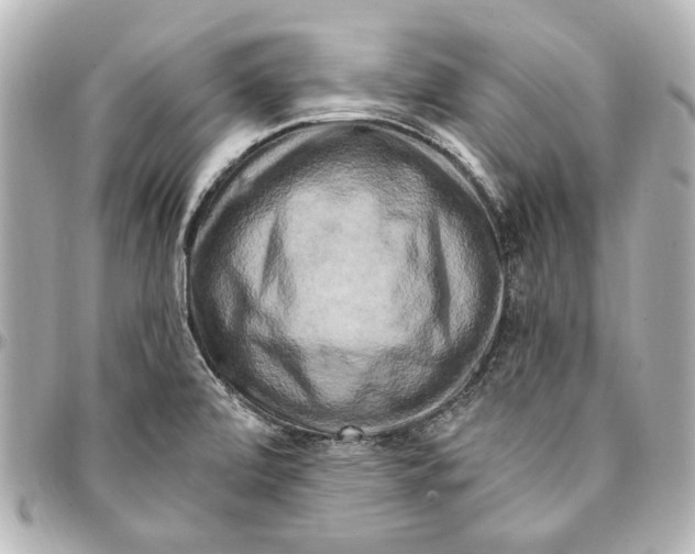 X0000094941472200712201104