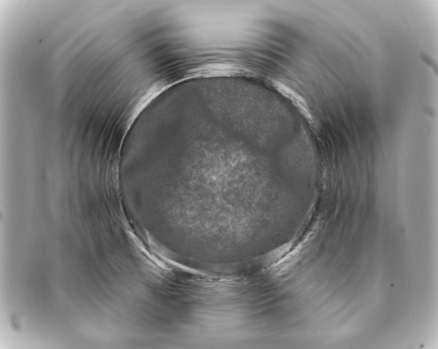 X0000094941473200712201104