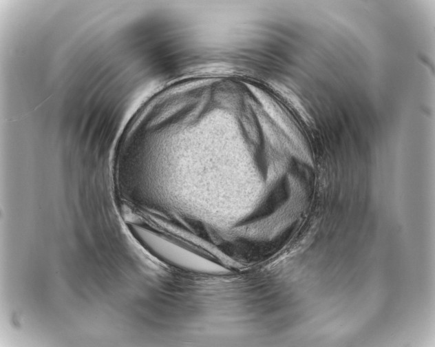 X0000094941475200712201104