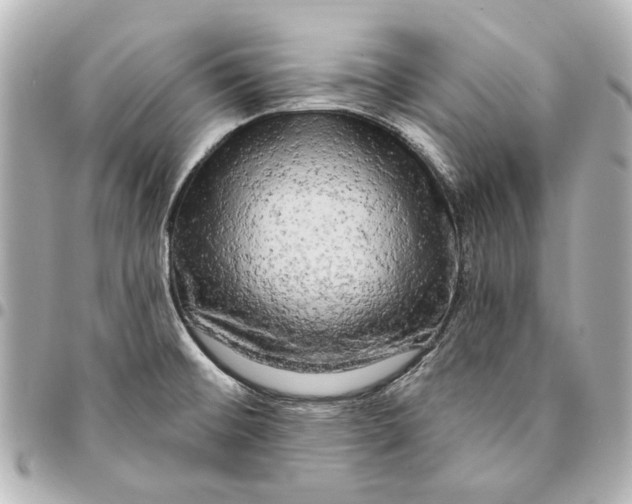 X0000094941476200712201104