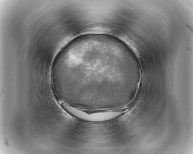 X0000094941477200712201104