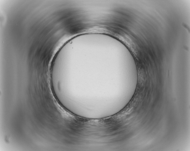 X0000094941478200712201104