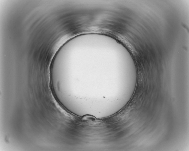 X0000094941479200712201104