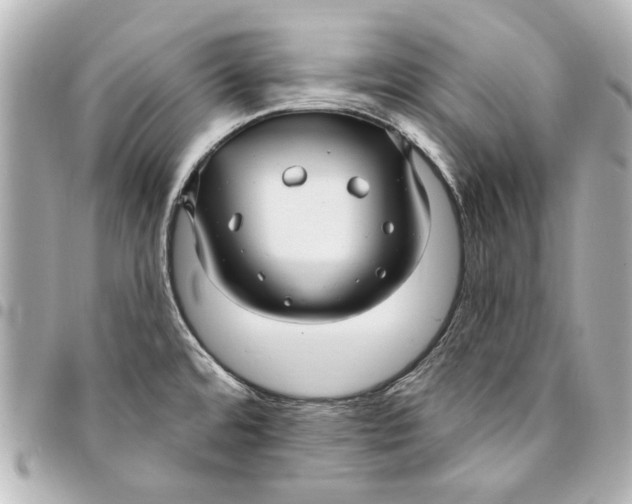 X0000094941480200712201104