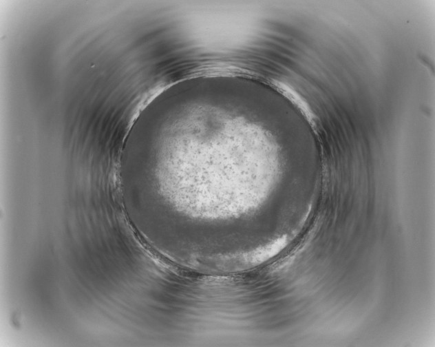 X0000094941481200712201104