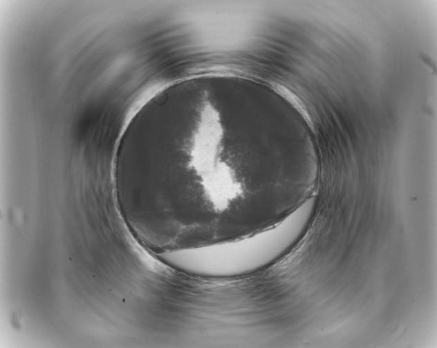 X0000094941482200712201104