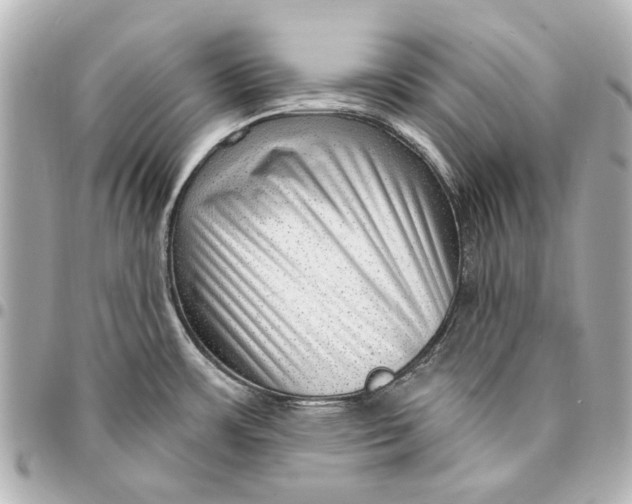 X0000094941483200712201104