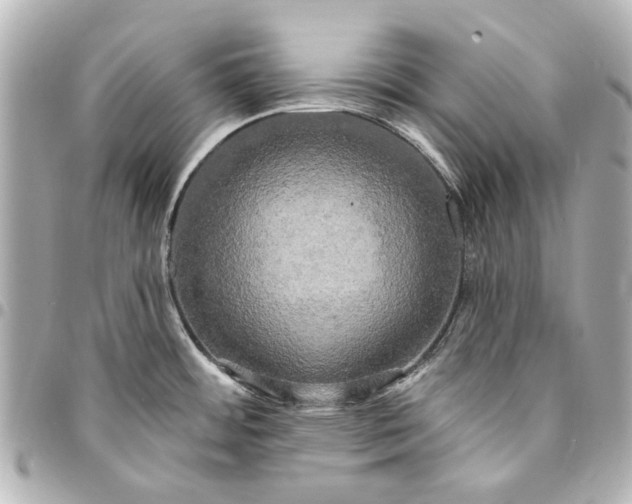 X0000094941484200712201104