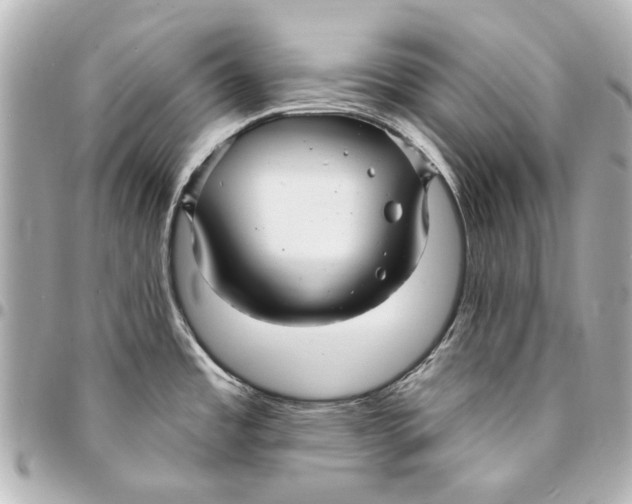 X0000094941485200712201104