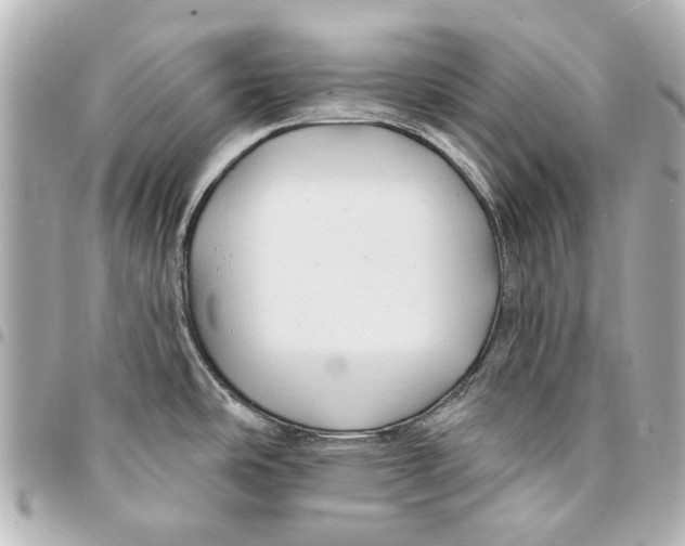 X0000094941486200712201104