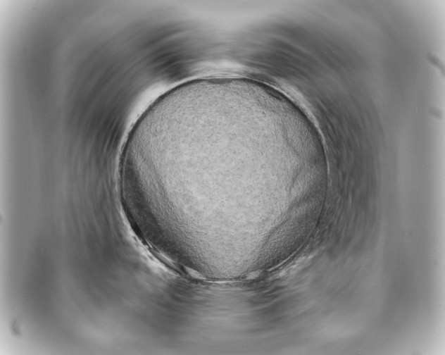 X0000094941488200712201104